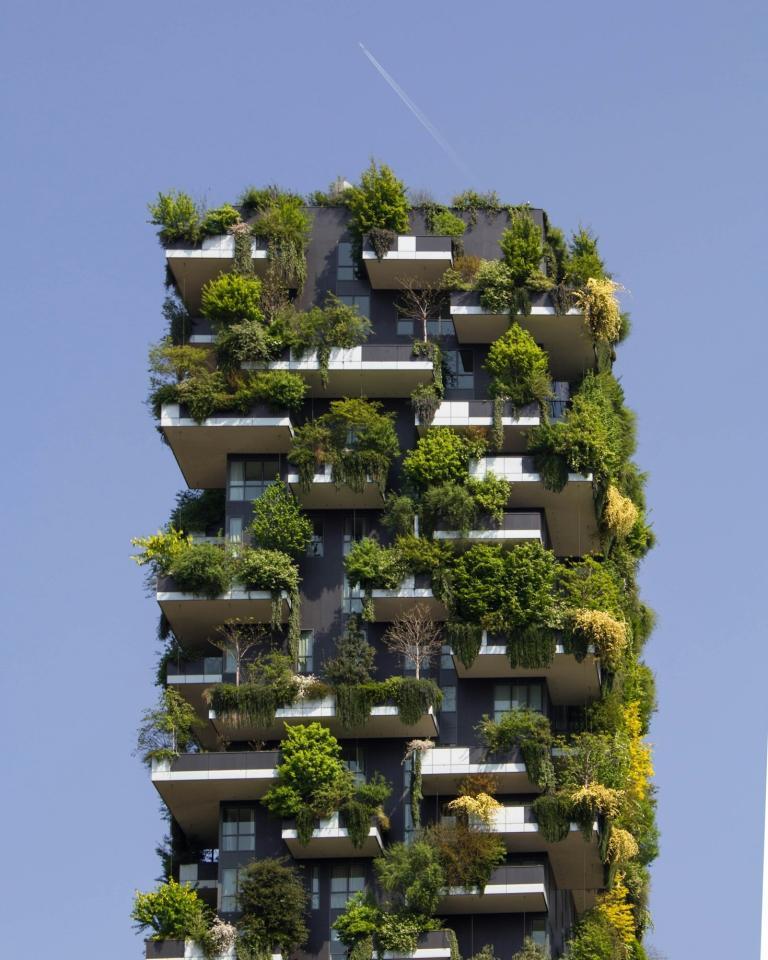 Top Sustainable Living Hacks for Busy People