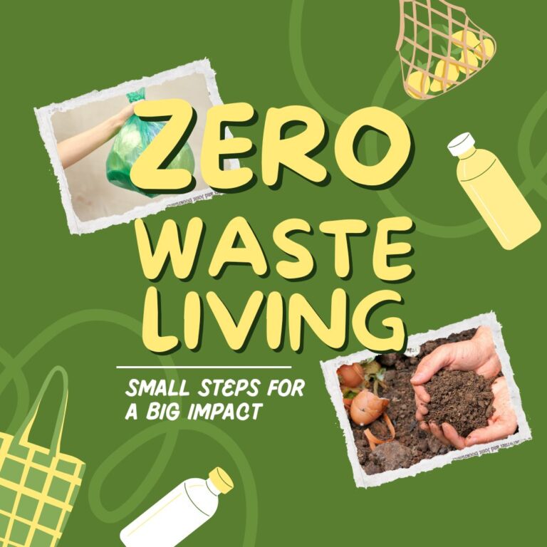 Understanding the Basics of Zero-Waste Living